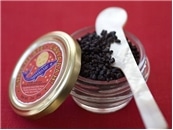 Chocolate Caviar