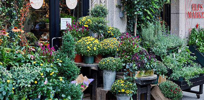 Flower-Shop-Band-2-Eli-Zabar