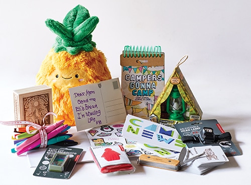 Summer Camp Crisis Gift Basket: Major