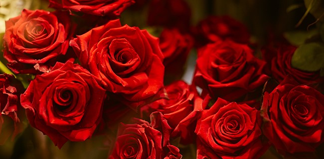Valentines-Flowers-Eli-Zabar-3